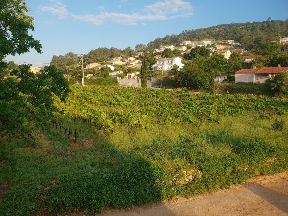 Villa Marie - Provence Cote D'Azur Cabasse Εξωτερικό φωτογραφία